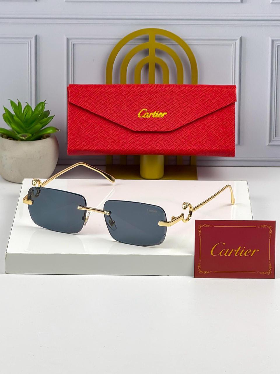 Cartier Panthère