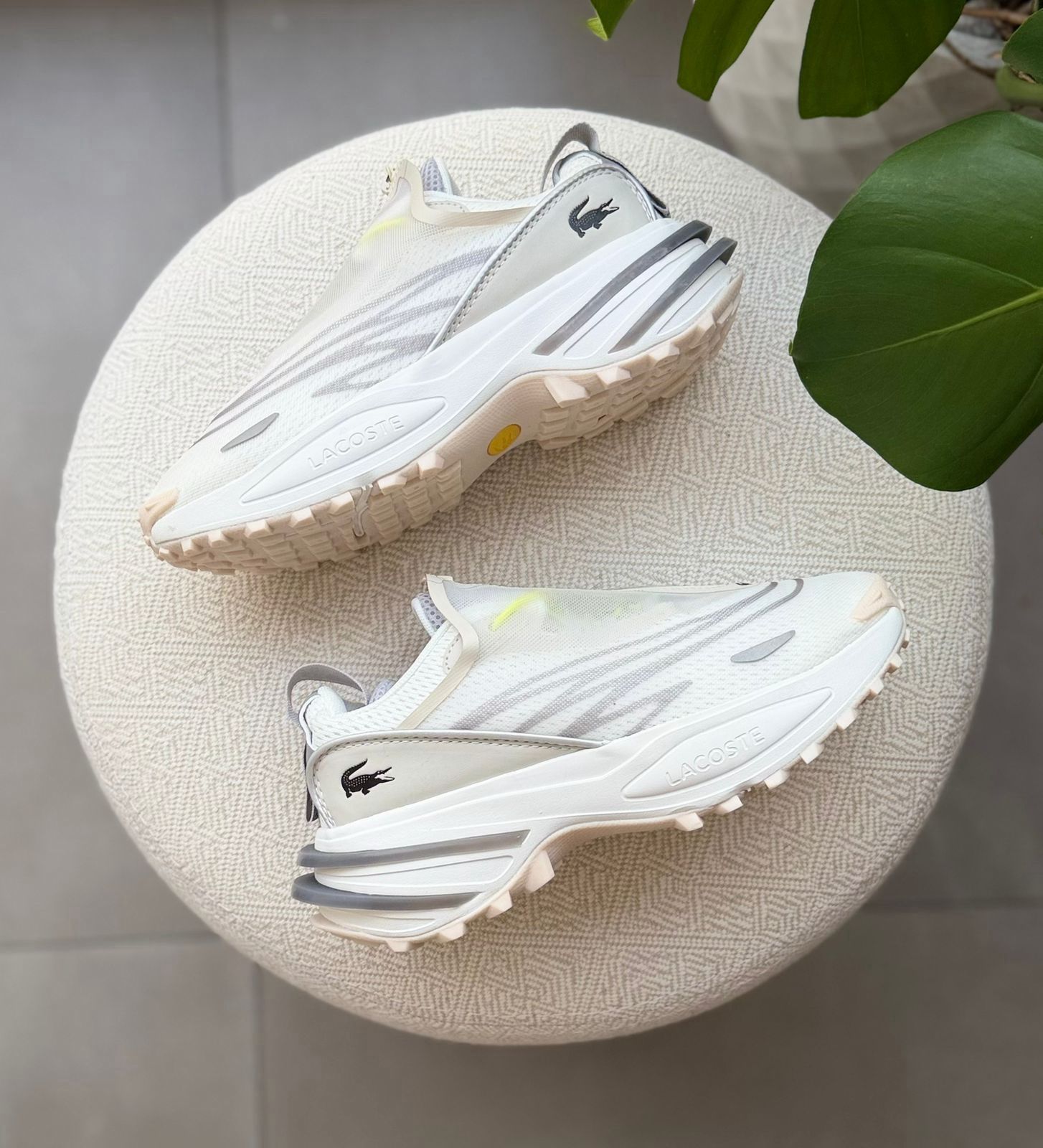 Lacoste Lacoste